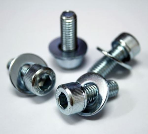 Picture of FIA Seat Bolts