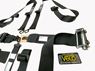 Picture of Velo 5pt Latch Lever FHR SFI Ratchet Waist Harness