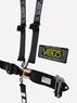 Picture of Velo 5pt Latch Lever FHR SFI Ratchet Waist Harness