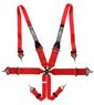 Picture of Velo Magnum HANS Harness - Special
