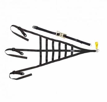 Picture of TRS Roll Cage Safety Net