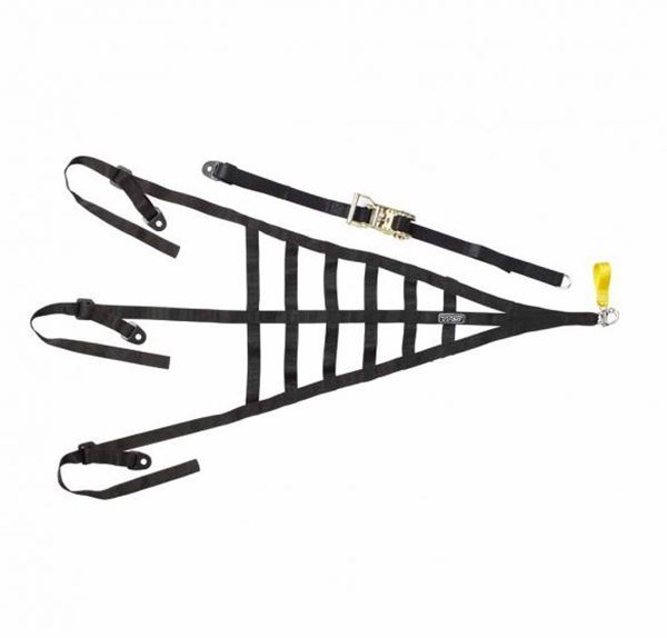 Picture of TRS Roll Cage Safety Net